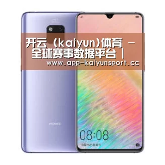 华为HUAWEI NOTE 8