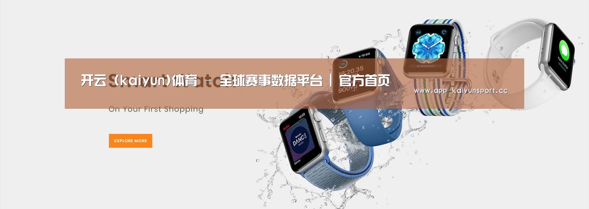 某某网络科技有限公司